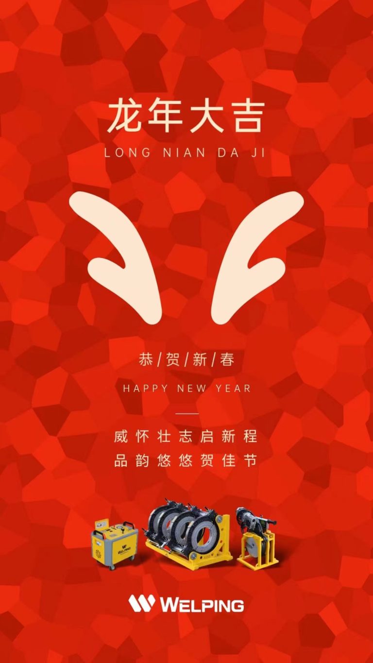 2024, the Year of the Dragon, Welping’s review and outlook